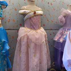 Princess Aurora Dress From Bibbidi Bobbidi Disneyland 