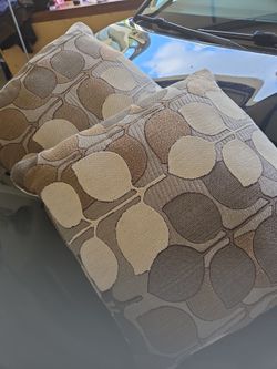 Pillows (3)