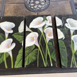 Mexican Alcatraz Picture 