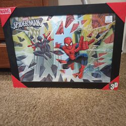 Nice Spider Man New 3 D For 20.00 He Didn't Want It