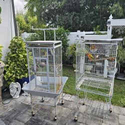 Jaula Con Preja De Periquitos Del Amor