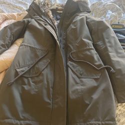 Hollister Jacket 