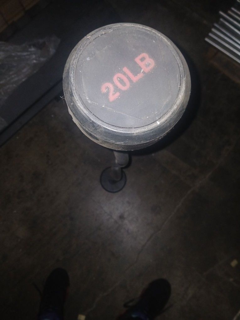 New 20 Lbs Curl Bar