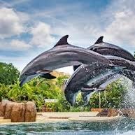 Seaworld tickets/boletos 