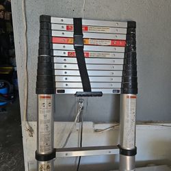 Telescope Ladder 