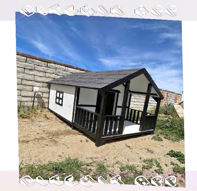 interview young Warm Dog Houses - Your Pet's Ideal Living Space