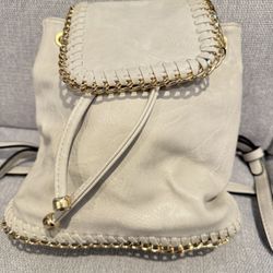 Mini Backpack / Purse 