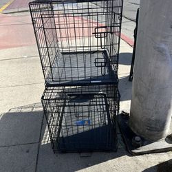 Lista Para TusPerritos   M  L