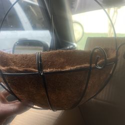 Coconut Wall Planter