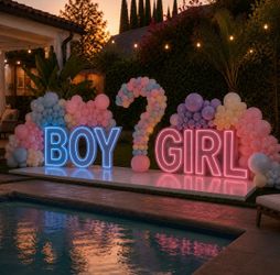 Boy or Girl Neon Sign Gender Reveal Set