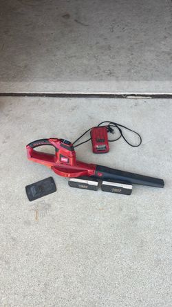 TORO 24V Leaf blower