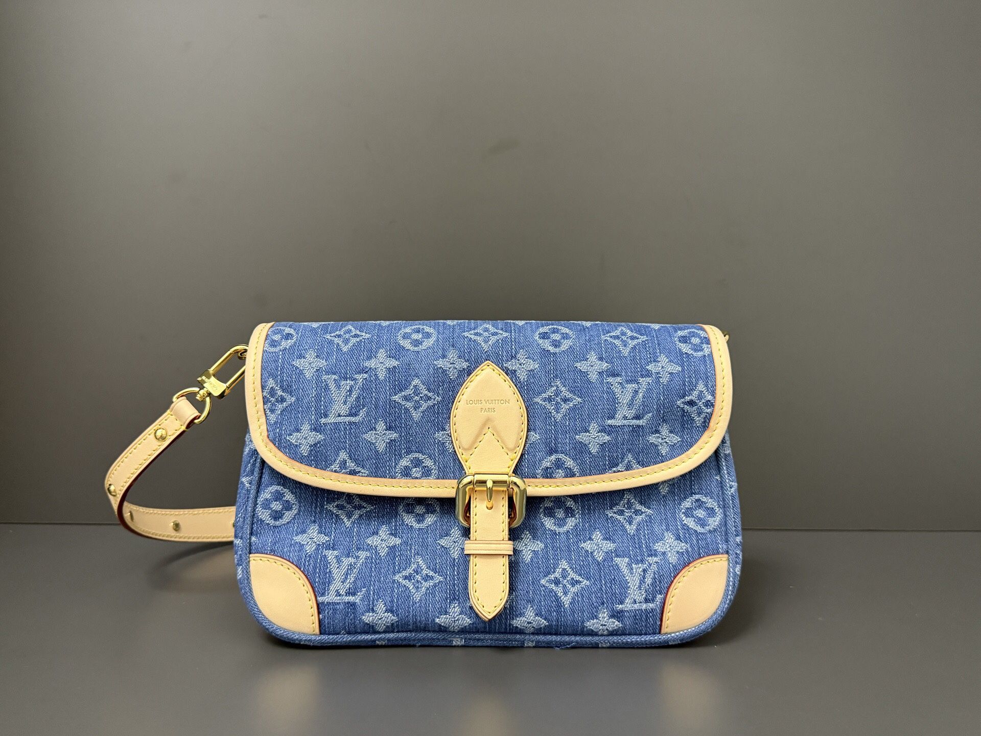Louis Vuitton Women's classic bags