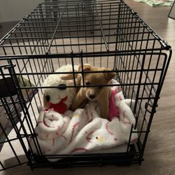 Crate For Small (toy) Breed Dogs!