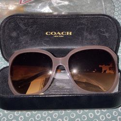 Coach Sunglasses 