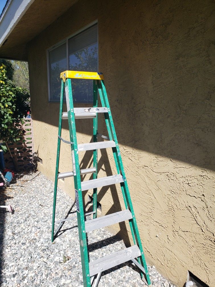 6ft Ladder 