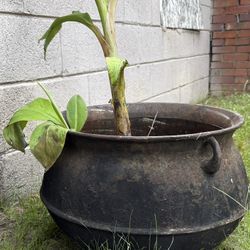Cast Iron Kettle 