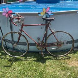 Men’s Schwinn Continental 10 Speed Classic