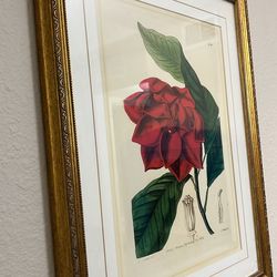 vintage inspired gold framed pivoine  30
