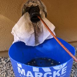 Drain Cleaning!