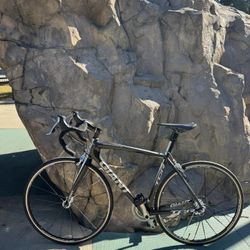 Giant TCR Advanced SL Medium