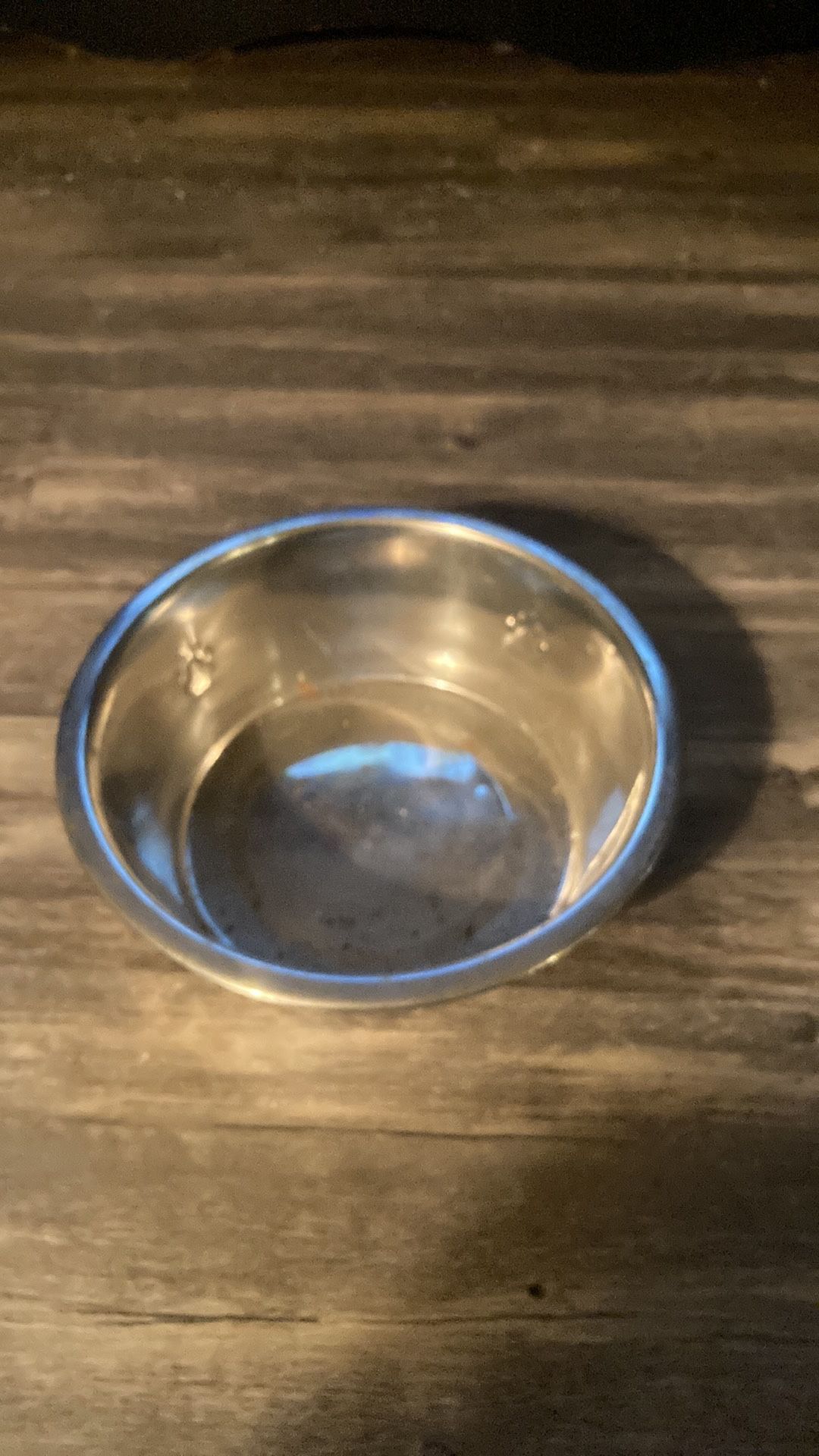 Stainless Steel Dog Bowl