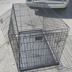 BIG DOG CAGE.         59 IN TALL 5 Feet Long 3 Feet Wide
