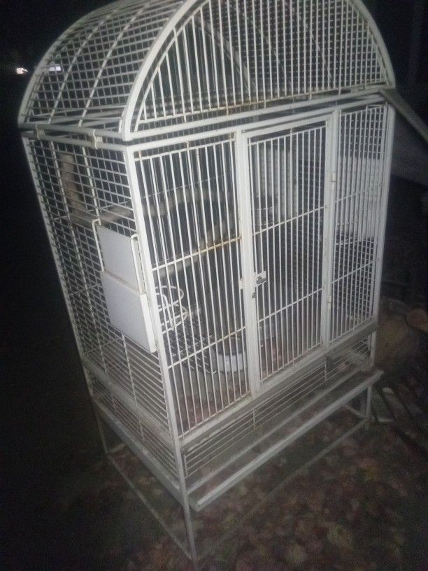 Bird Cage
