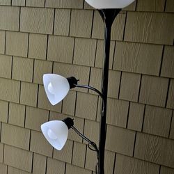 Great Multipurpose Lamp!