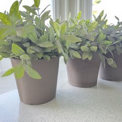 6 Potted Faux Plants From IKEA Mandel Collection 