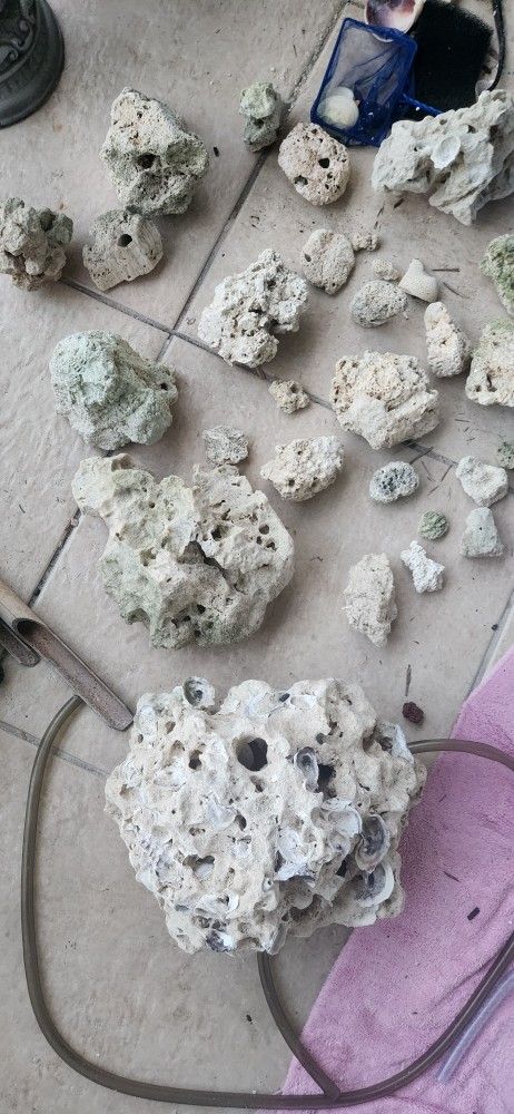 Rock Saltwater Aquarium 