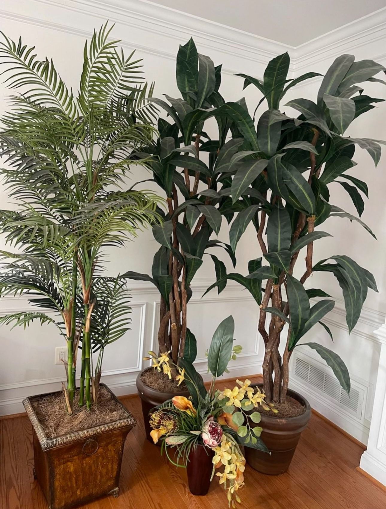 Plants (Artificial)