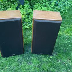 Technics SB-CR77 Speakers