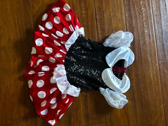 Minnie Mouse size small for little girl