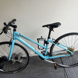 Vita Specialized Bike 