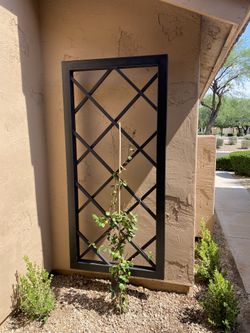 Metal Trellis 