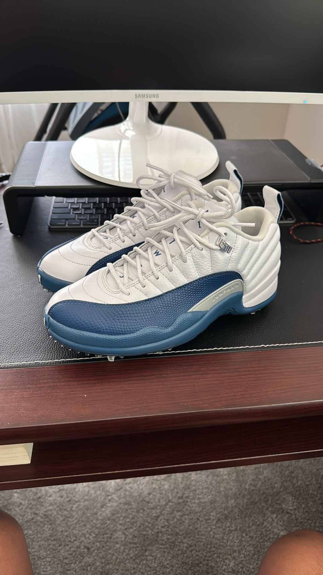 Air Jordan 12 Low Golf Shows