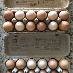 Fresh Free Range Eggs