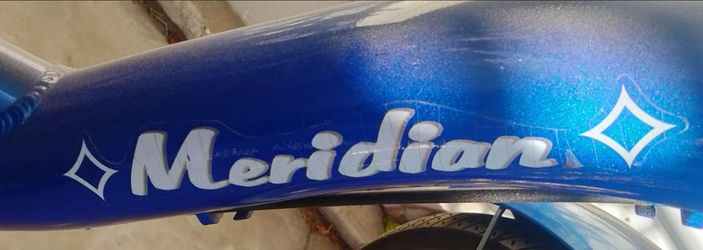 Schwinn meridian adult tricycle with basket