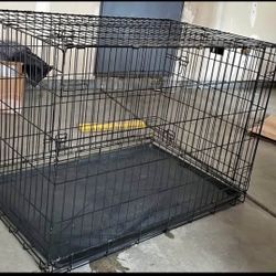 Large Dog Kennel 