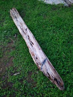 Driftwood For Aquariums Terrariums Decor Etc