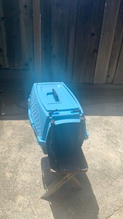 Small pet carrier