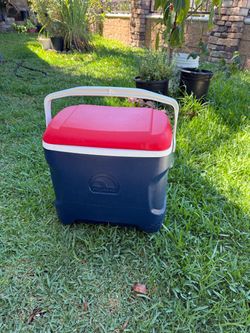 Igloo cooler