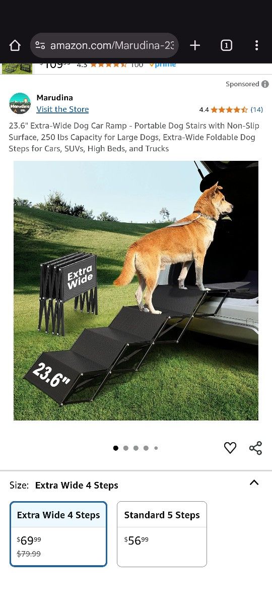 New Pets Steps