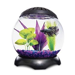 Imagitarium Panoramic 1.3 Gallon Lotus Tank, Beta Fish Tank