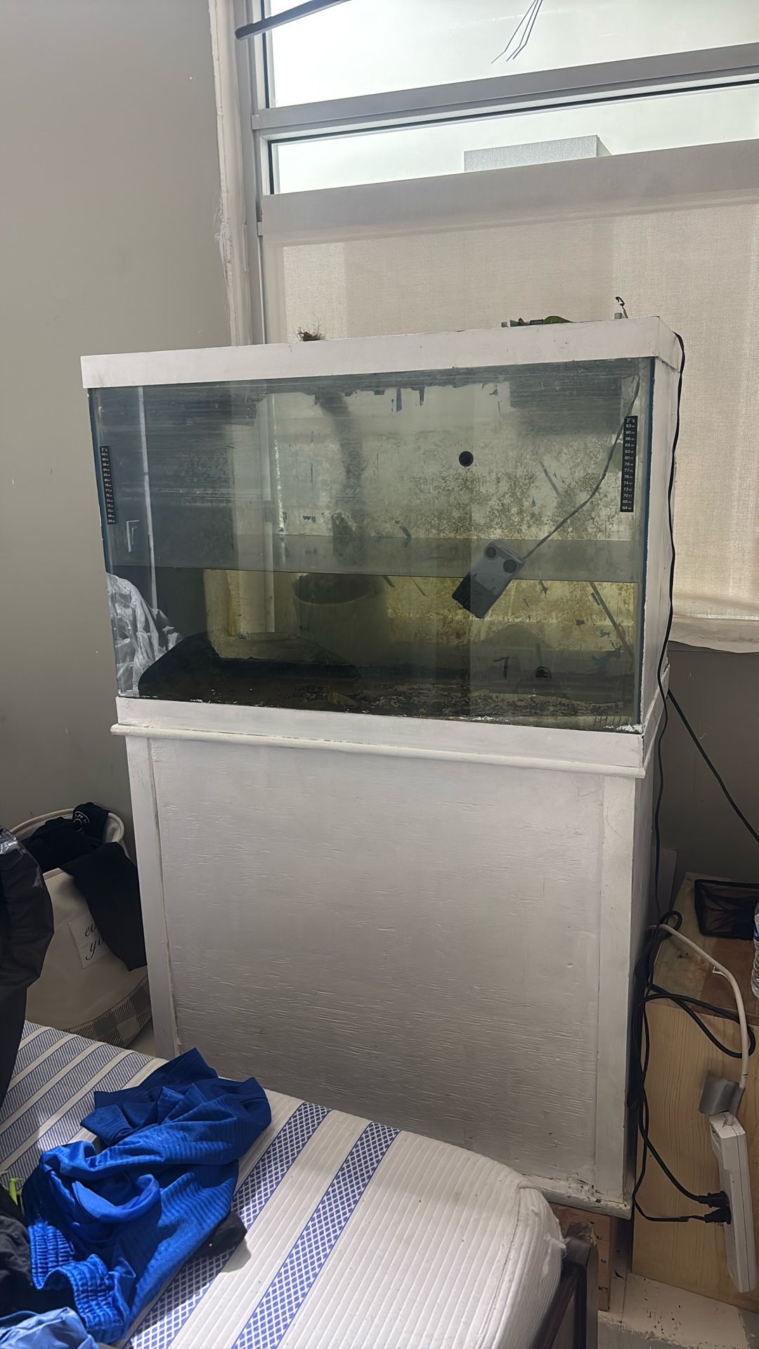 Free Nice Aquarium