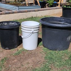 Nursery Pots: 7-gallon & 25-gallon (READ THE AD!)