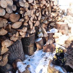 Firewood