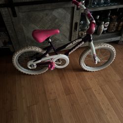 Bike Magna Size 16