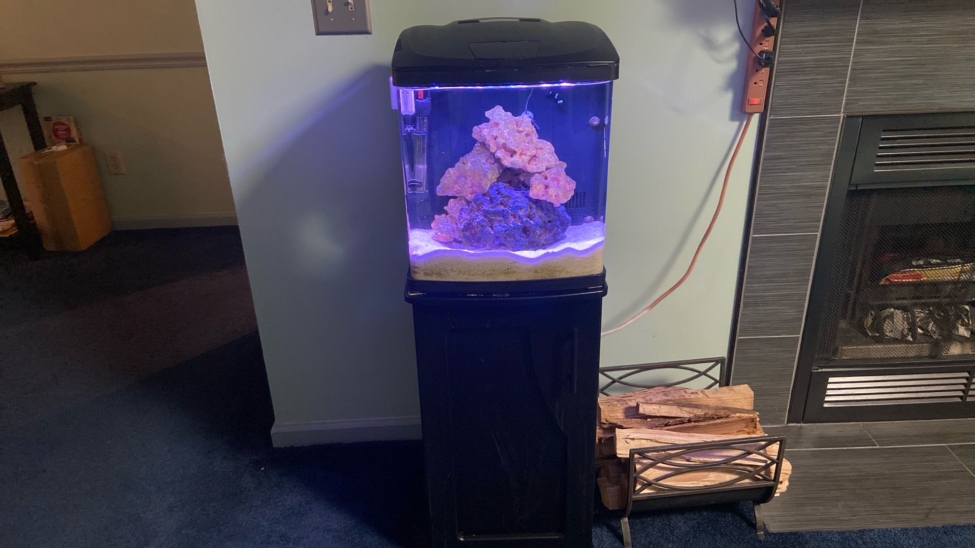 16 Gallon Bio Cube