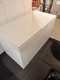 Chest Freezer NOT WORKING - Sealed for Cold Plunge